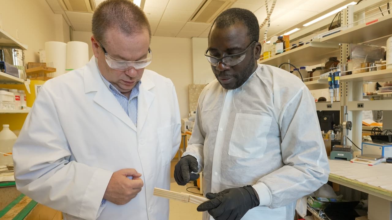 four people working in a lab