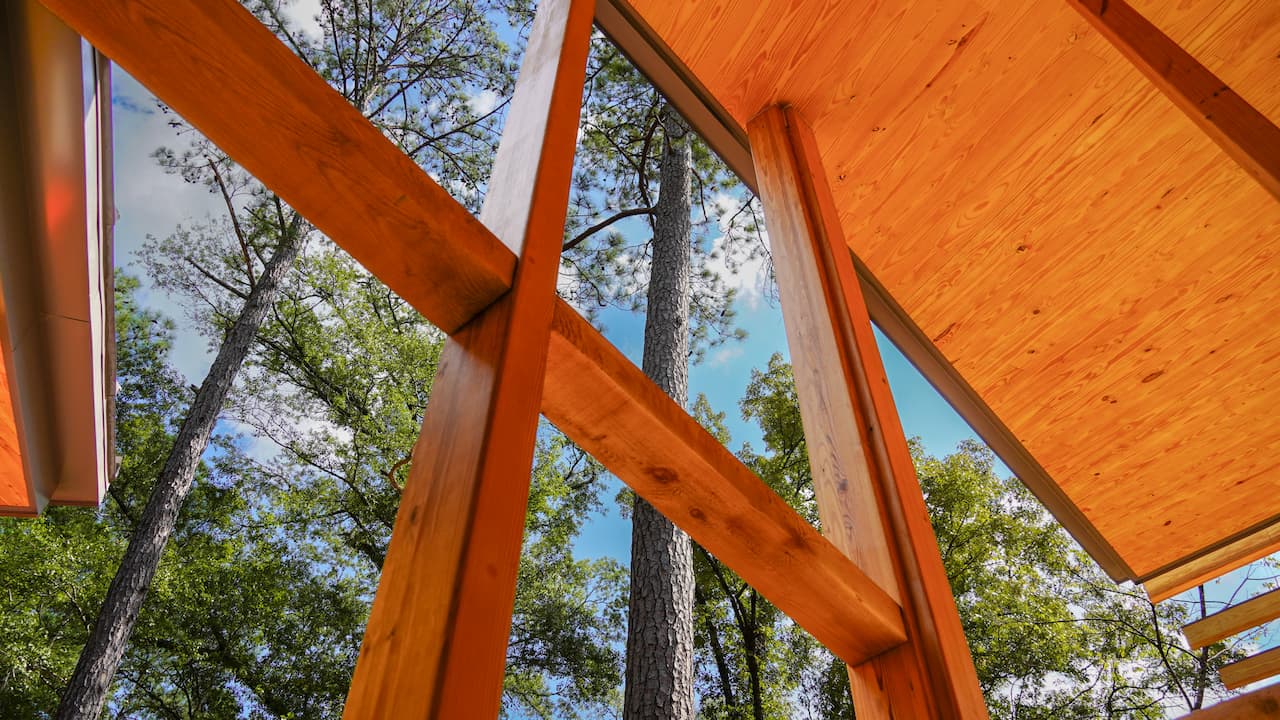 ceiling of the Environmental Education Building